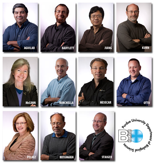 2011 Excellence in Research Winners