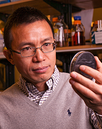 Professor Zhao-Qing Luo