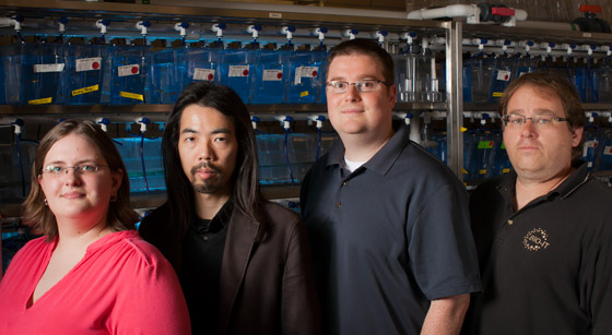 ZeBase Development Group