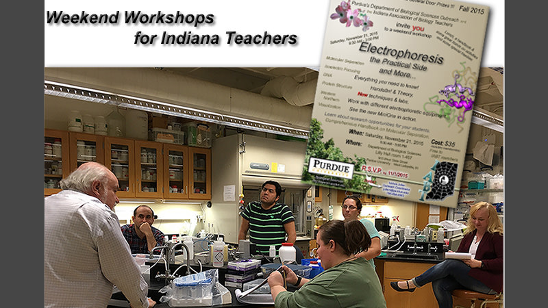 Weekend workshops for Indiana Teachers