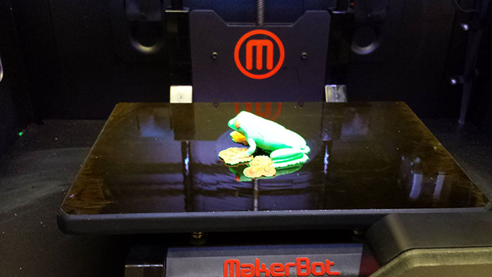 Frog that was rendered with a 3D printer