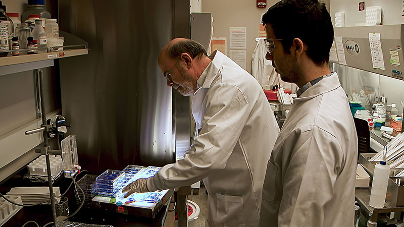 Dr. Richard Kuhn with graduate student Carlos Brito.