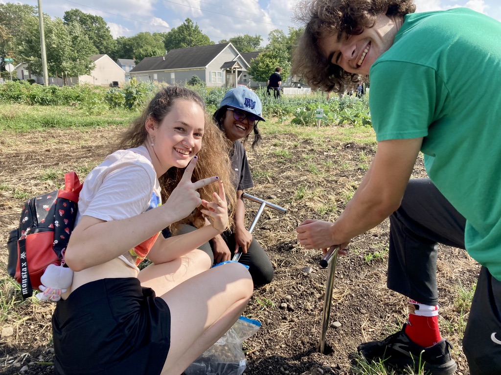 Students at the garden collecting their samples.