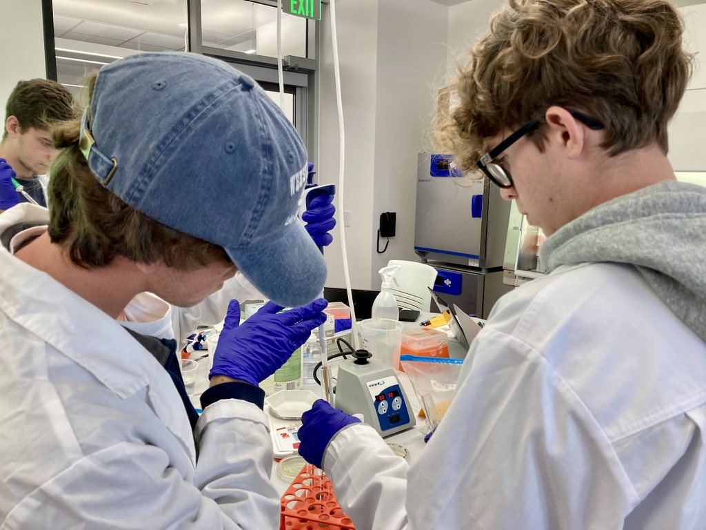 students in lab