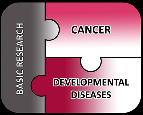 Basic research, cancer and developmental diseases.