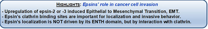 Highlights of epsins' role in cancer cell invasion