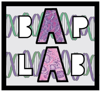 BAP logo