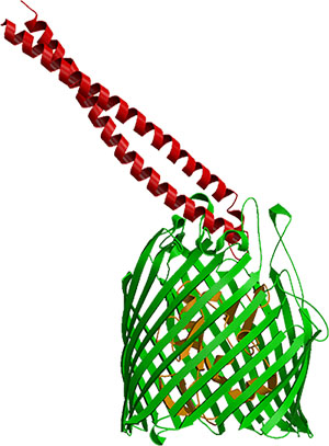 Colicin e2