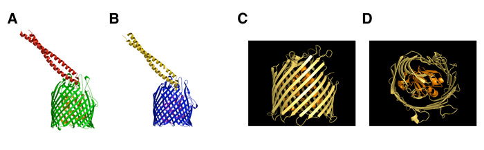 fig 5