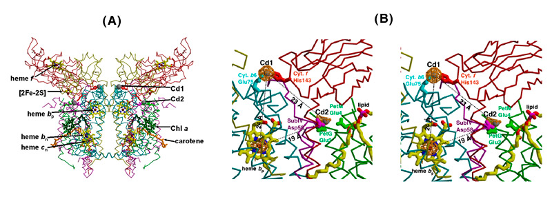 fig 5 a b