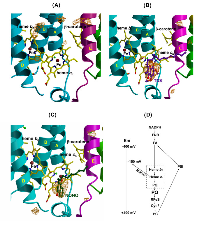 fig6