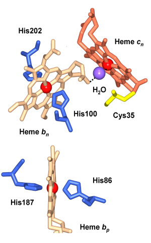 fig9