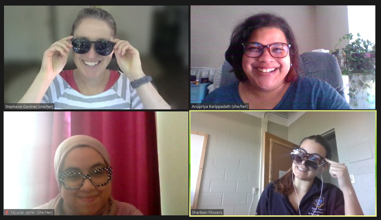 Stephanie, Anupriya, Nouran, and Sharleen meeting virtually