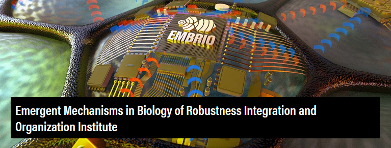embrio-photo.png