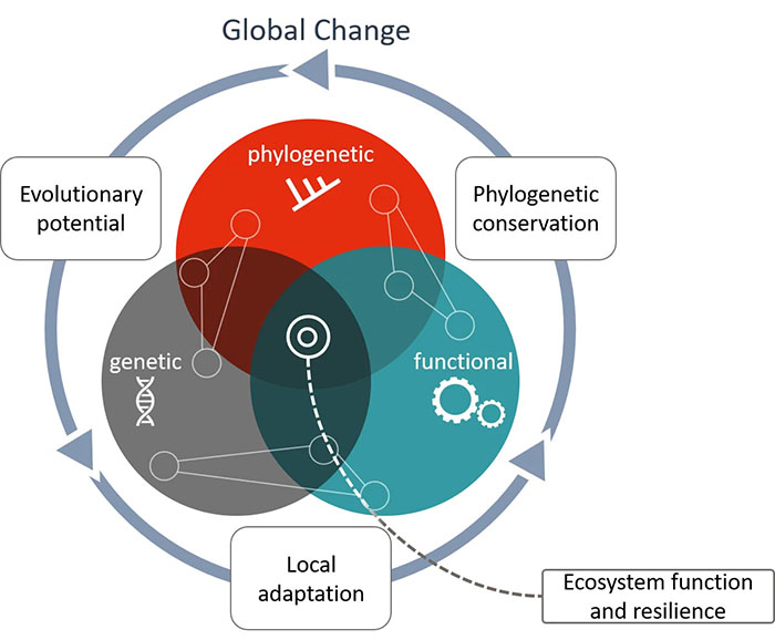 The multiple dimensions of biodiversity, their interactions, and responses to global change.