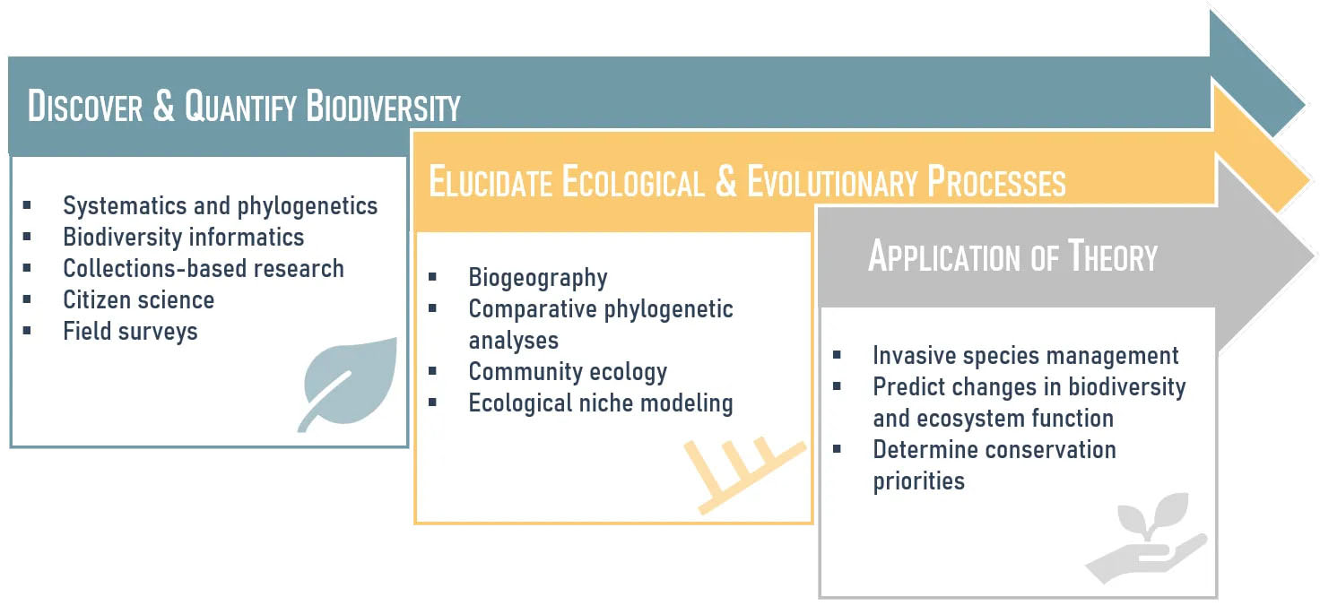 Discover and quantify biodiversity, elucidate ecological & evolutionary processes, and application of theory.