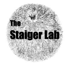 Staiger Lab, Purdue University