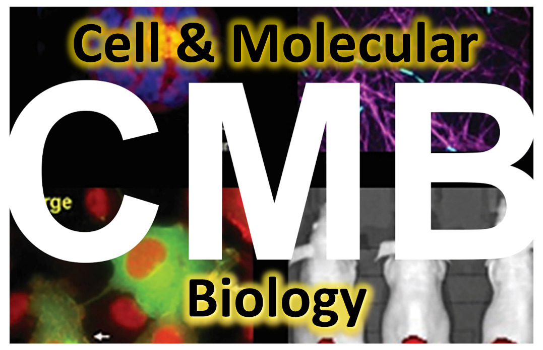 CMB