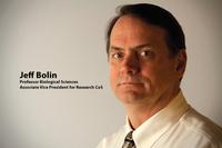 Jeff Bolin joins Office of the Vice President for Research