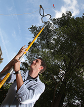 Biology doctoral student Nicholas Smith, shown collecting leaf samples via slingshot, found that including plants' acclimation to temperature improves climate change models. 