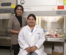 Seema Mattoo, an assistant professor of biological sciences, stands next to graduate student Anwesha Sanyal in Mattoo's Purdue laboratory. Mattoo and Sanyal led a research team that discovered a new protein involved in the process that determines the fate of cells under stress. (Purdue University photo/Charles Jischke) 
