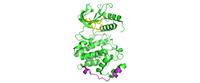 Finding moonlighting proteins, in genomes, which perform two independent functions  