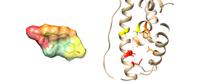 In Silico drug discovery method for computationally modelled target proteins