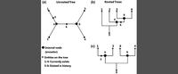 How to Identify and Interpret Evolutionary Tree Diagrams, a report from our BEAST (Biology Education Area for Scholarship and Teaching)