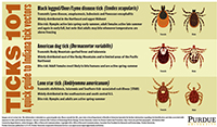 Bit by a tick? Next steps and species to know