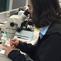 Yuk Fai Leung attended the 2017 Developmental Biology Teaching Workshop