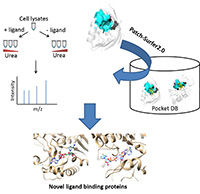 High-throughput discovery of ligand binding proteins in a proteome