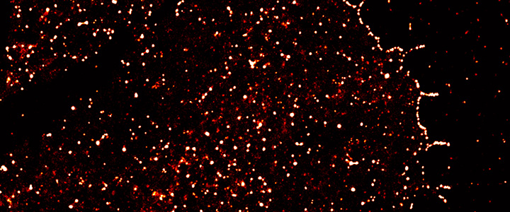 Collaborative effort by the Suter, Mattoo, and Huang labs provide new insights into filopodia formation