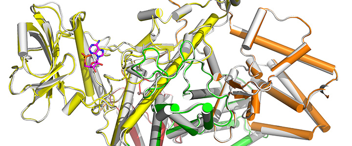 Discovery provides path to pathogen-targeted antibiotics