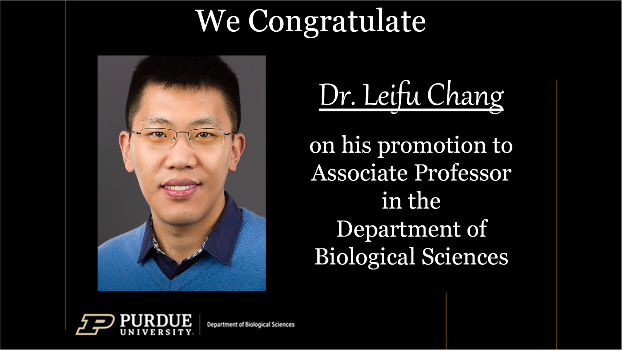 Dr. Leifu Chang