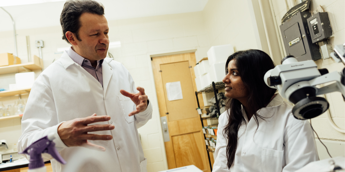 Alex Chubykin and Sanghamitra Nareddula in their lab