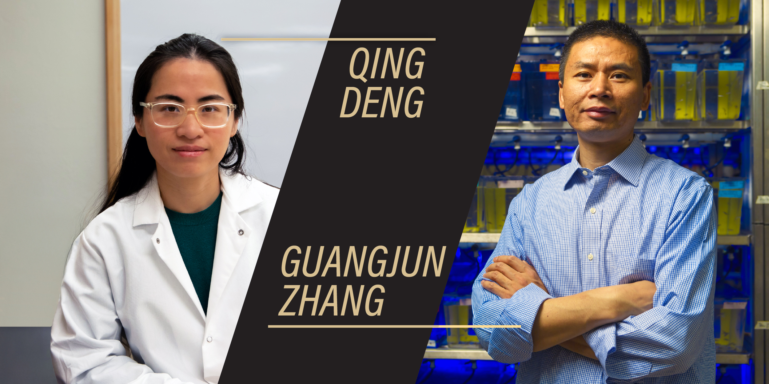 Qing Deng in her lab