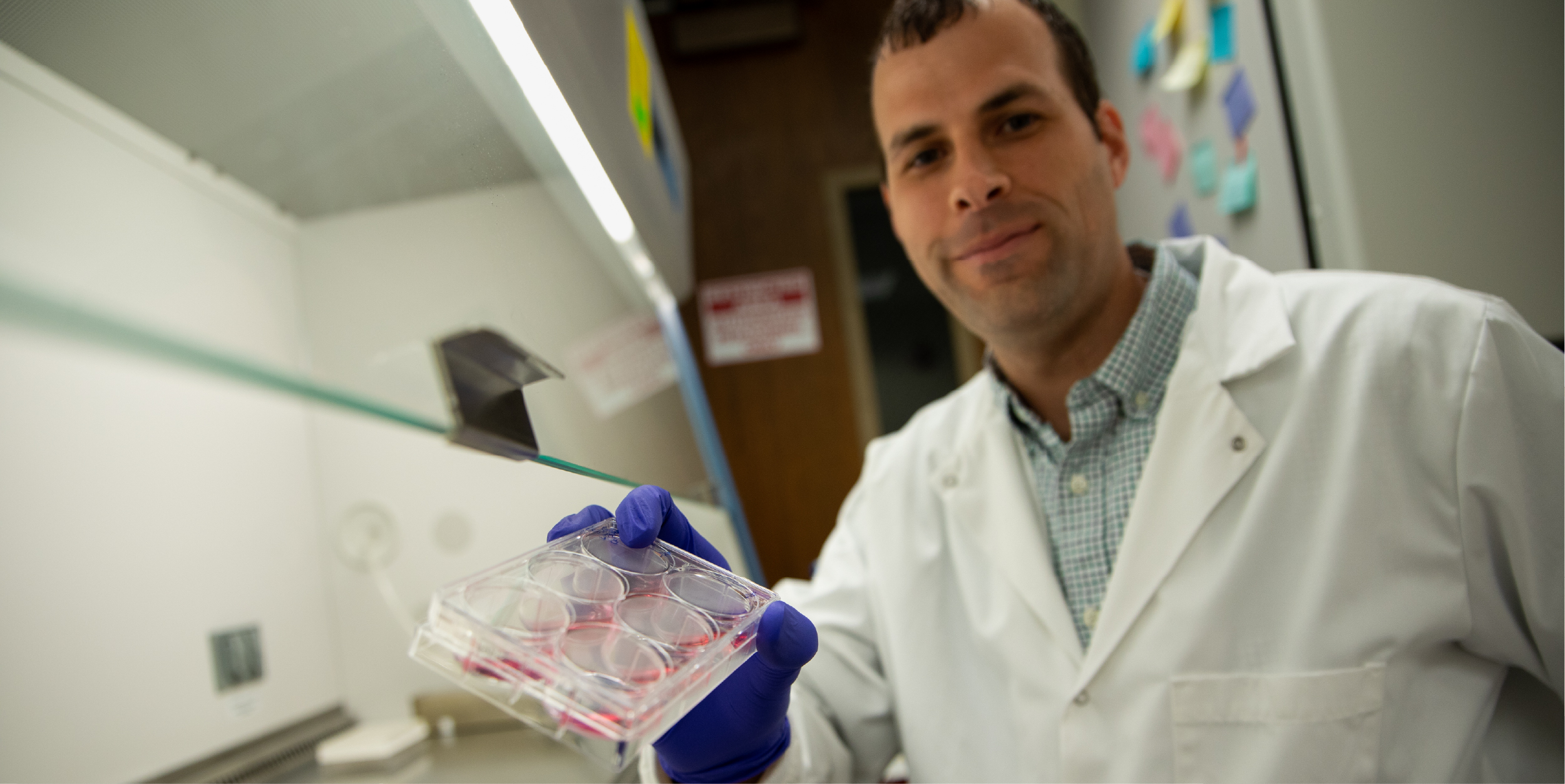 Jason Hanna in his lab with samples in petri dish