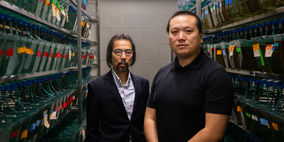 Yuk Fai Leung and BC Wang stand in their lab