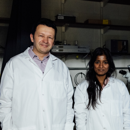 Alex Chubykin and Sanghamitra Nareddula in their lab