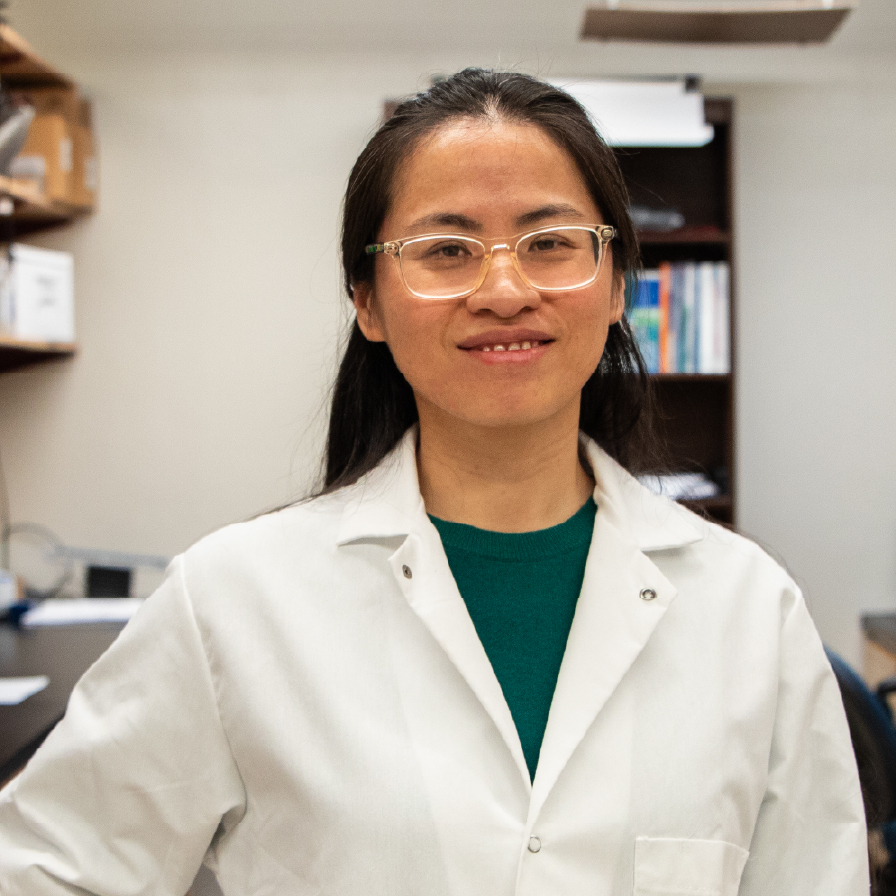 Qing Deng in her lab