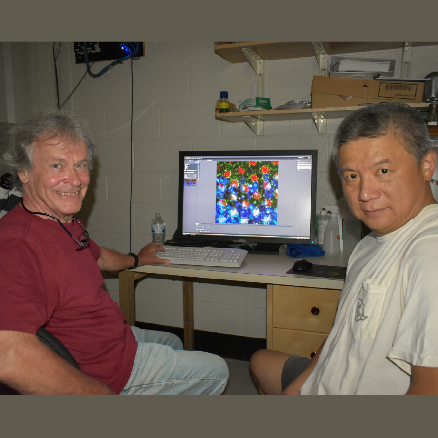 Don Ready and Henry Chang in their lab