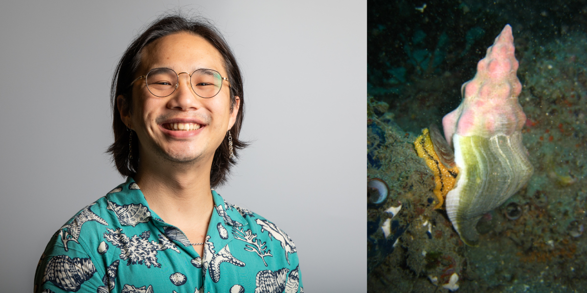 Collage of a headshot of Andy Lee and a Kellet’s whelk on the ocean floor.