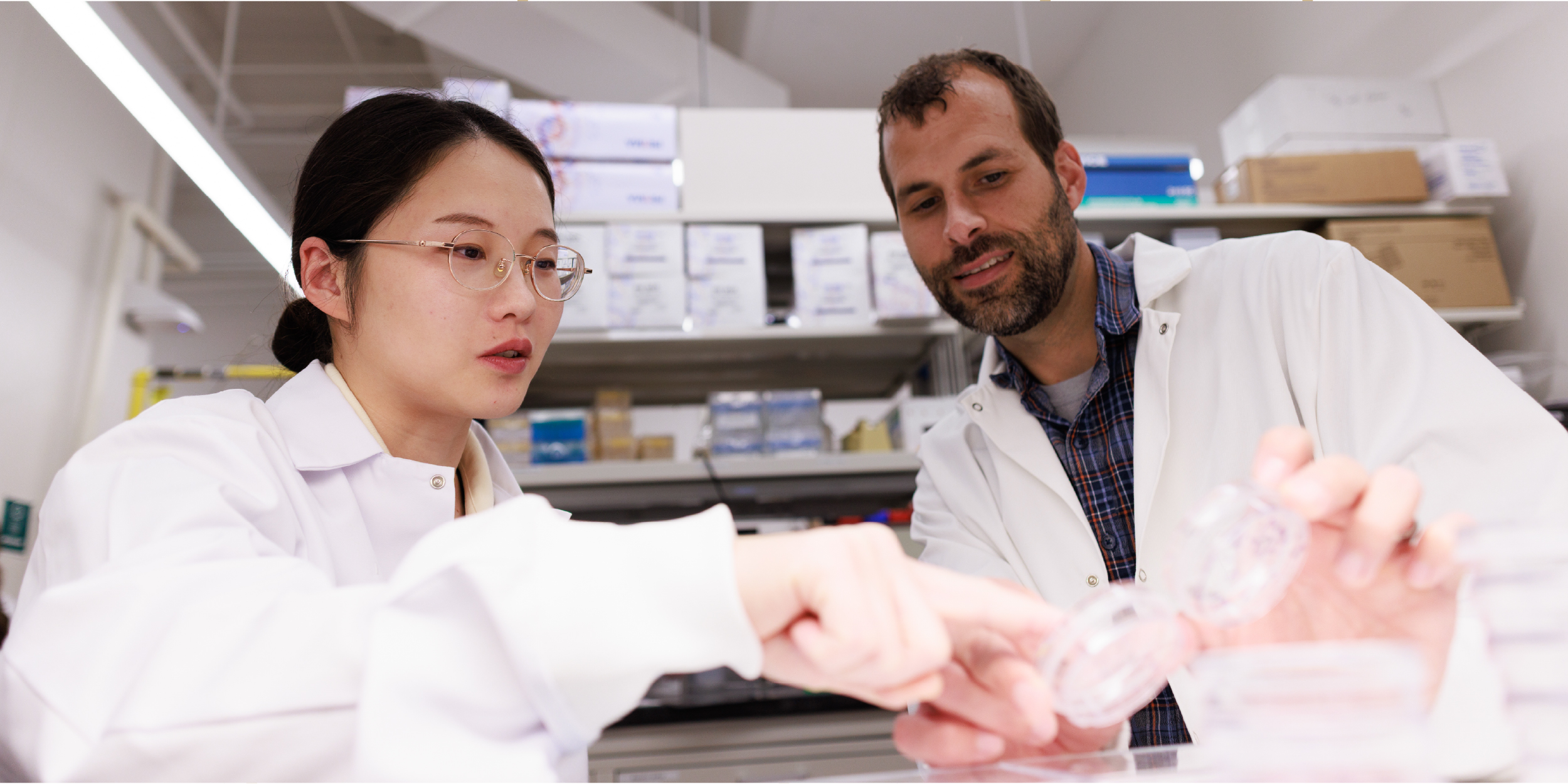 Assistant Professor Jason Hanna and Ph.D. candidate Bozhi Liu examine samples in a petri dish in the Hanna lab