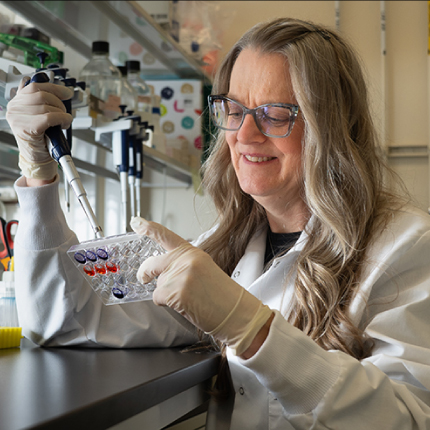 Headshot of Brian Feth