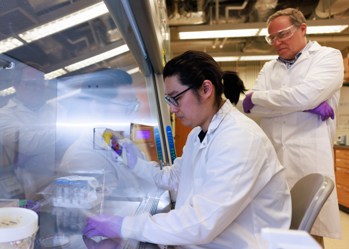 Matthew Olson and Franklin Yeo working together in the lab
