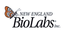 New England Biolabs